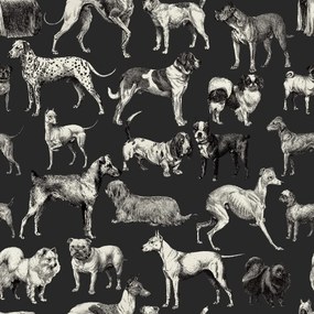 Fototapet, Dogs, Harlequin, Rebel Walls