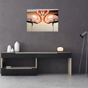 Tablou pe sticlă - doi flamemgo (70x50 cm)