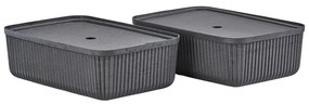 Coșuri de depozitare 2 buc. 48x32x20.5 cm Pulp – Zone