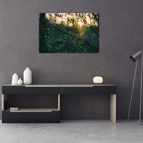 Tablou - Soarele strălucind printre crengile copacilor (90x60 cm)