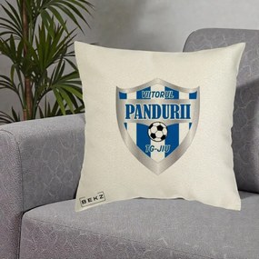 Perna Personalizata Pandurii Targu Jiu Fotbal, 40x40 cm, Ecru, Husa Detasabila, Perna Inclusa, BEKZ®