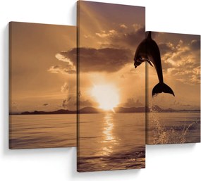 Tablou - Delfin la apus de soare (90x60 cm)