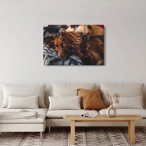 Tablou cu câini dormind (90x60 cm)