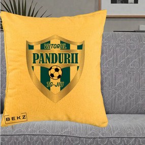 Perna Personalizata Pandurii Targu Jiu Fotbal, 40x40 cm, Galben, Husa Detasabila, Perna Inclusa, BEKZ®