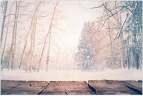 Tablou - Priveliște pădure (90x60 cm)