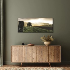 Tabloucu luncă (120x50 cm)