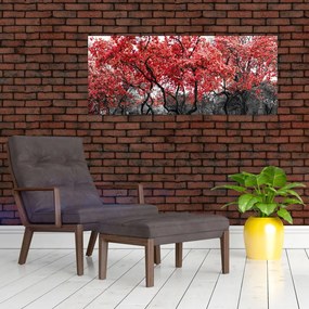 Tablou - Copacii roșii, Central Park, New York (120x50 cm)