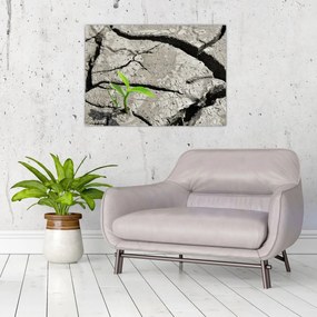 Tablou - Fisuri (70x50 cm)