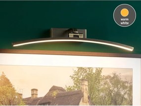 Paulmann 95561 - Lampă pentru tablouri BENTO LED/10W, 230V, 50 cm, alamă