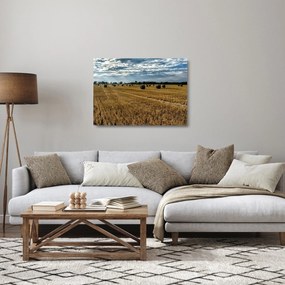 Tablou pe sticlă cu câmp recoltat (70x50 cm)