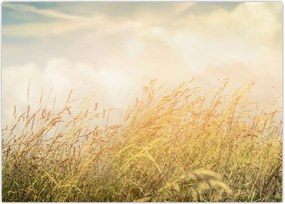 Tablou - Câmp toamna (70x50 cm)