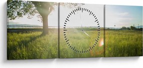 Tablou - Copac în câmp (cu ceas) (90x30 cm)