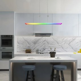 Rabalux 72011 - Lampă LED RGB dimabilă pe cablu TEMPERIUS LED/24W/230V + DO