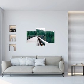 Tablou - Pod spre vârfurile copacilor (90x60 cm)
