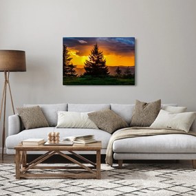 Tablou - coniferi (90x60 cm)
