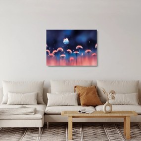 Tablou pe sticlă cu păpădii cu fluture albastru (70x50 cm)