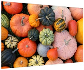 Tablou - Dovleac (90x60 cm)