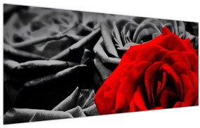 Tablou - Trandafir (120x50 cm)