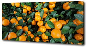 Print pe pânză Mandarine