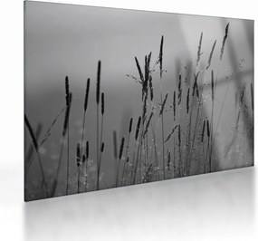 Tablou pe sticlă - Lamele de iarbă (70x50 cm)