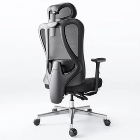 HBADA P3 Scaun ergonomic, cu suport lombar reglabil, tetieră reglabilă 2D, cotiere reglabile 2D, pivotant, Negru