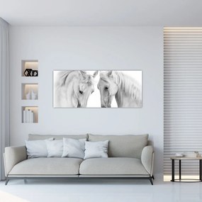 Tabou - Cai albi (120x50 cm)