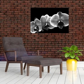 Tablou floare de orhidee (90x60 cm)