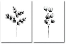 Set 2 tablouri Wallity Galilo