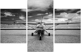 Tablou - Avion alb-negru și alb-negru (90x60 cm)