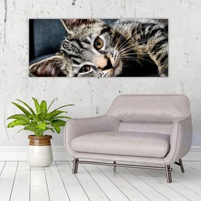 Tablou - Pisoi (120x50 cm)