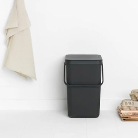 Cos de gunoi colectare selectiva Brabantia Sort&Go 1003237, 25 L, Maner, Montabil pe perete, Gri inchis