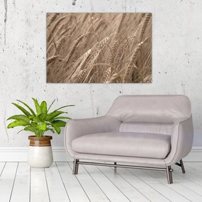 Tablou - Câmpul de aur (90x60 cm)