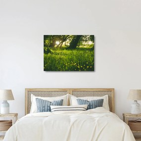 Tablou pe sticlă cu natura - lunca (70x50 cm)