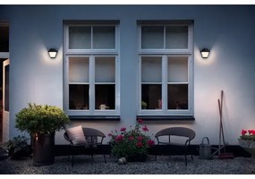 Aplică de exterior 1xE27/42W/230V IP44 Philips Massive 17389/30/PN
