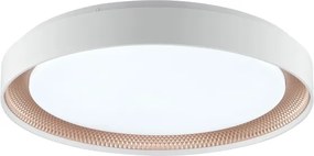 Brilliant - Plafonieră LED dimabilă WALDO LED/36W/230V alb/aur roz + telecomandă