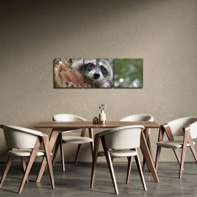 Tablou - Raton (cu ceas) (90x30 cm)