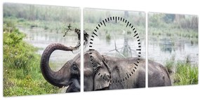 Tablou - Elefant de scăldat (cu ceas) (90x30 cm)