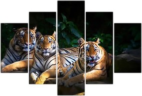 Tablou - Tigrii frați (150x105 cm)