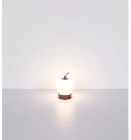 Globo 21011 - Lampă de birou LED reglabilă EVALINA LED/2W/3,7V