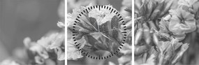 Tablou - Flori uscate (cu ceas) (90x30 cm)