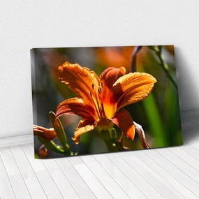 Tablou Canvas - Crin portocaliu 80 x 125 cm