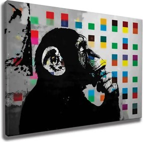 Tablou WY162, multicolor, panza, 100x70  cm