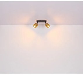 Spot MILLEY 2xE27/40W/230V negru/alamă Globo 15560-2