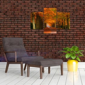 Tablou - Bulevardul de copaci în toamnă (90x60 cm)