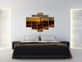 Tablou - Sfărșit de zi în deșertul Arizona (150x105 cm)