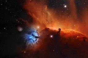 Fotografie Horsehead nebula, IC 434 Narrowband, Paul C Swift