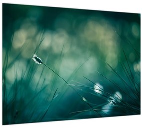 Tablou - Detaliu iarbă (70x50 cm)
