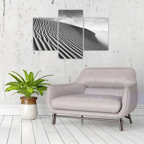 Tablou - Dună de nisip (90x60 cm)