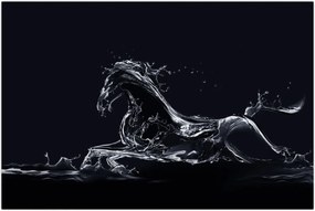 Tablou - Cal și apă (90x60 cm)