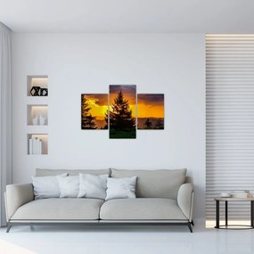 Tablou - coniferi (90x60 cm)